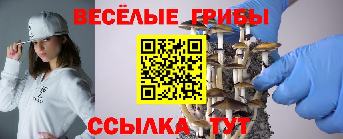 Галлюциногенные грибы GOLDEN TEACHER Красный Сулин